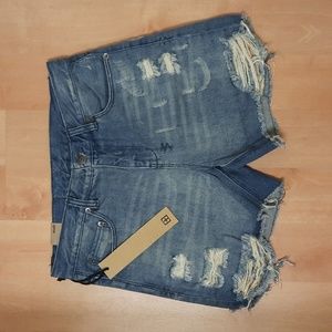 NWT, Ksubi Boyfriend Shorts in So Jelly